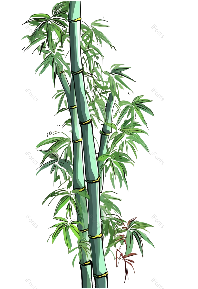 叶子图片,元素元素,卡通PNG,插画免抠素材